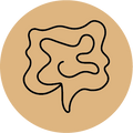 Disbiosi ed equilibrio del microbiota