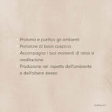il palo santo