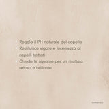Alkemilla Maschera Acida Capelli