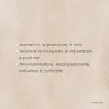 Alkemilla Maschera Viso Sebonormalizzante