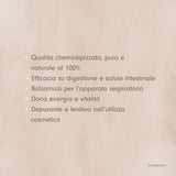 Menta 10ml