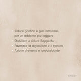 Silhoulinfa