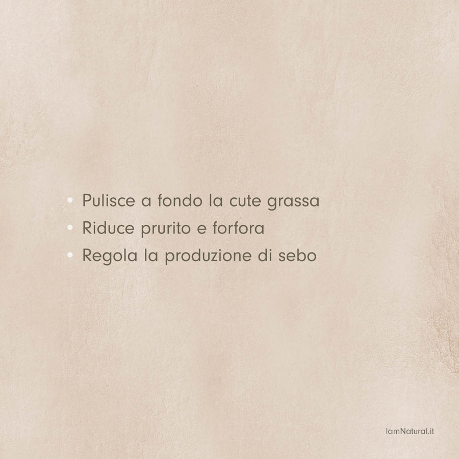 Shampoo Purificante